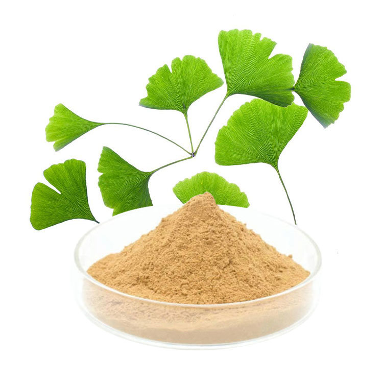 Ginkgo Biloba Extract Powder