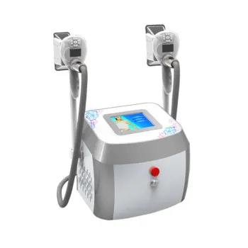 2 Handles Mini Coolsculpting Led Vacuum Cryolipolysis Body Slimming Machine For Lose Weight
