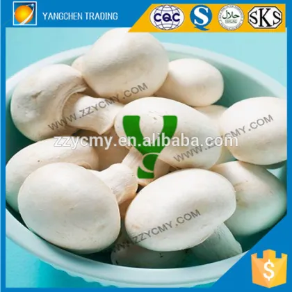 Cheap Canned Champignon Mushroom