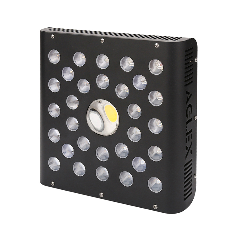 Chất lượng cao COB LED Cây phát triển ánh sáng 600W