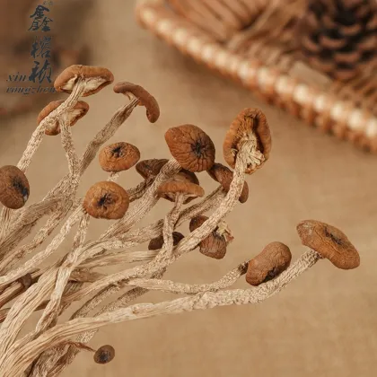 Air-Dried Tea Tree Mushrooms - Natural Edible Dried Shiitake Mushrooms