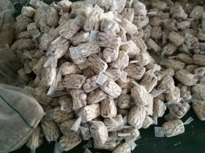 Fresh Solo Garlic Basket