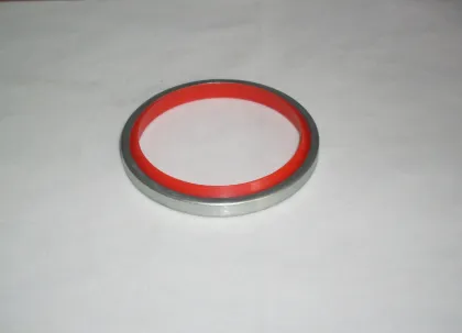 Polyurethane Dust Cover Oil Seal Ring
