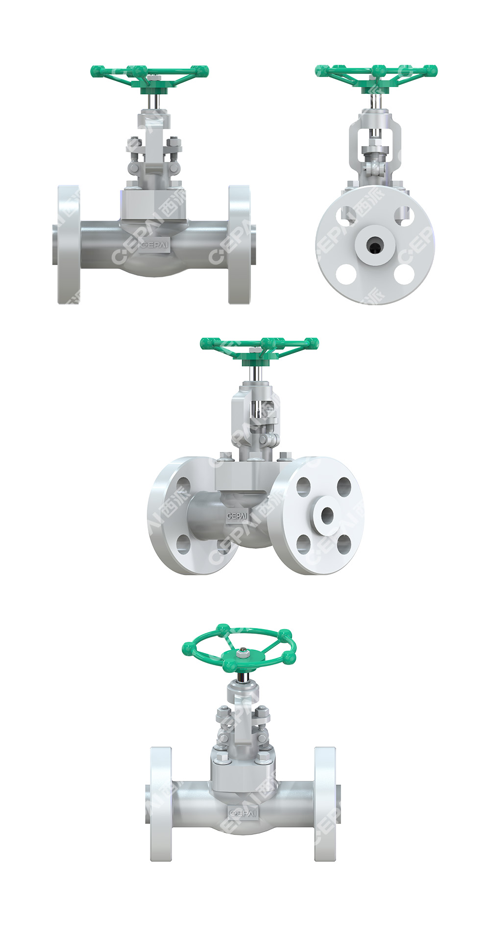 Forged Globe Valve1