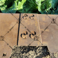 Rusted Garden Edging for garden of traditional color