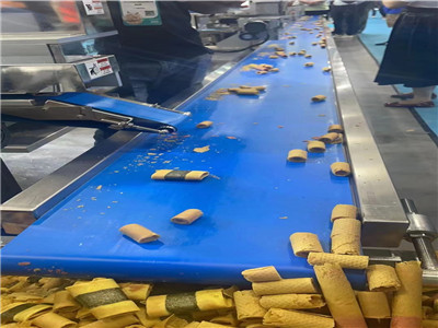 PE Conveyor Belt for food transportation line