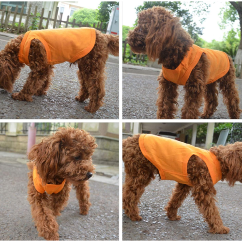 T-shirt em branco da roupa do cão do cachorrinho camiseta