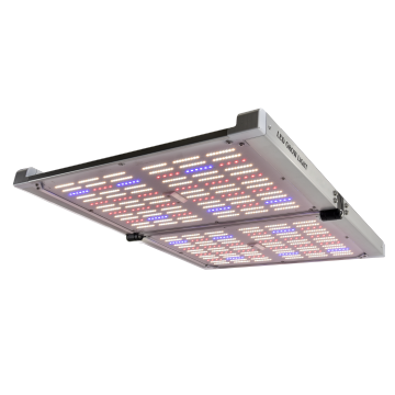 Kwantowa LED światła 480 W pełne spektrum IR UV