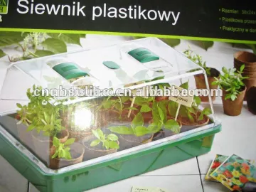 flower garden greenhouse