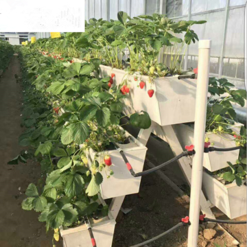 Skyplant PVC Strawberry Growing Hydroponics Channel