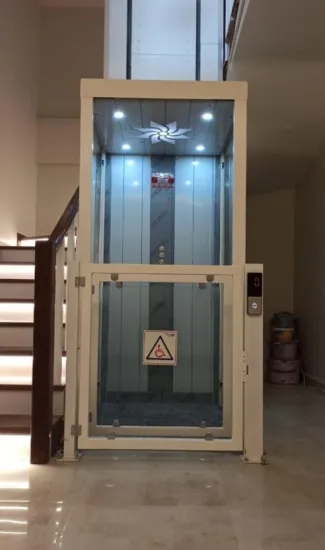 low price 3people small home lift