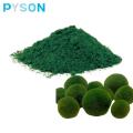 Top Quality Food Additives chlorella powder