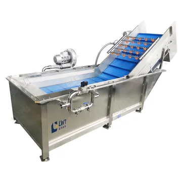 Customizable Stainless Steel Processing Line for Frozen Fruits and Vegetables