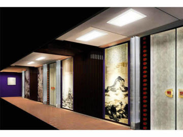 20w LED Panel Light/ 300*600mm RGB LED Panel (DF-LPL-AA-W20-30X60RGB)