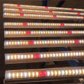 LED 6400K Tumbuh Cahaya Hijau Cahaya