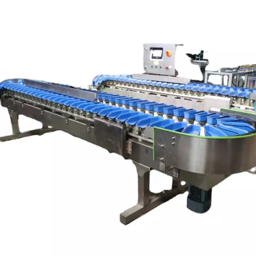 Mango en acier inoxydable de qualité alimentaire et machine de classement complète Jujube