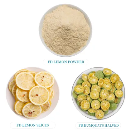 100% Natural No Additive Lemon Tea Freeze Dried Lemon Slices Sugar Free