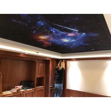 Fibra óptica de techo de automóvil pintado a mano llena de estrellas