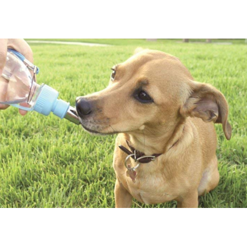 Piccola bottiglia d&#39;acqua di viaggio per animali