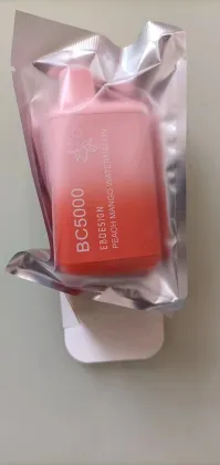 EB DESIGN Bc5000 Puffs Disposable Vape Wholesale
