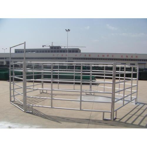 ngựa paddock hàng rào đường sắt tấm mạ kẽm