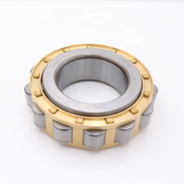 RN307 Eccentric Cylindrical Roller Bearing 35*70.2*21mm Brass Cage