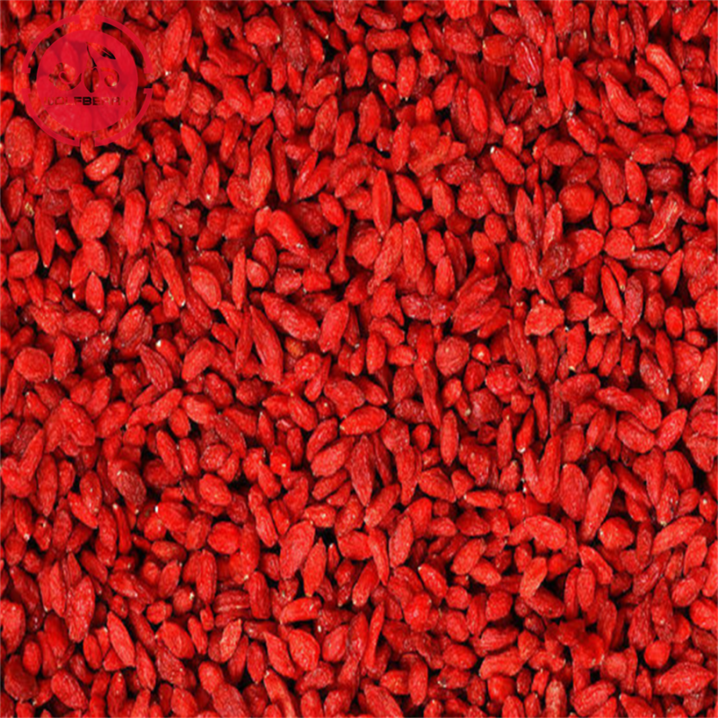 Super Foods promueve el bienestar de la salud Bayas de Goji