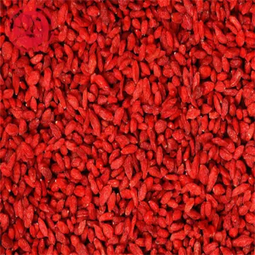 Super Foods Promote Health Wellness Goji Berries