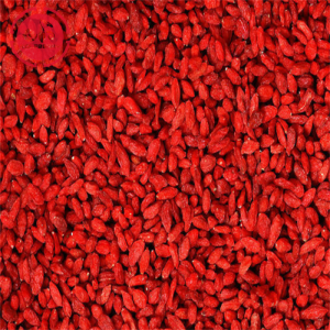 Superfoods promoten Health Wellness Goji-bessen