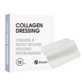 কোলাজেন ক্ষত ড্রেসিং
