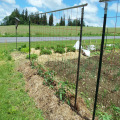 Fornecimento de Fábrica Farm Fence Metal T Post