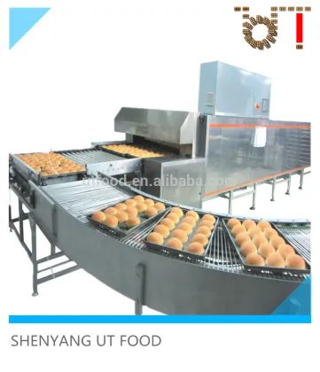 automatic industrial pain hamburger ligne de production