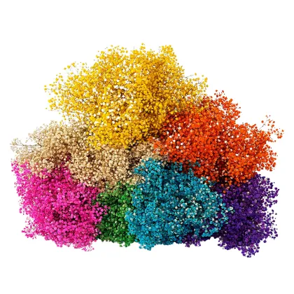 Mingyue Various Colors Dried Gypsophila Babys Breath