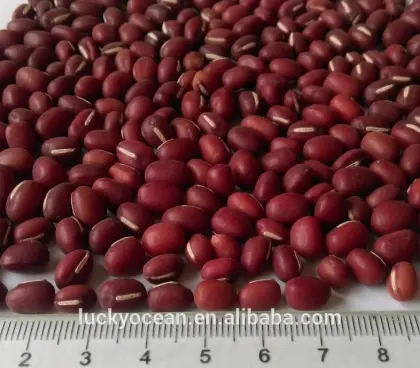 New crop small red round beans Azuki Beans