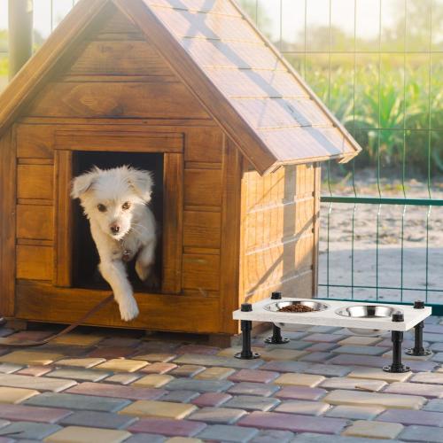 Tigela de cachorro elevada com tigelas de aço inoxidável