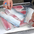 Pequena máquina de esfola de peixe de bancada para uso comercial