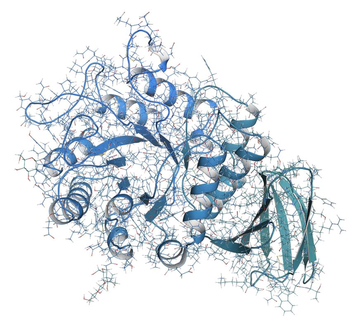 Alpha Galactosidase for Plant Protein