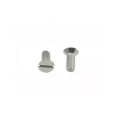 304 Stainless Steel DIN963 Slotted Countersunk Head Screws