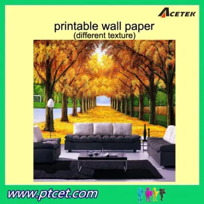 China digital printing wallpaper home decoration