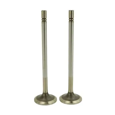 Caterpillar OE 7M7358 7M7359E 9M4163 D4E D6 330 High-Quality Engine Valve