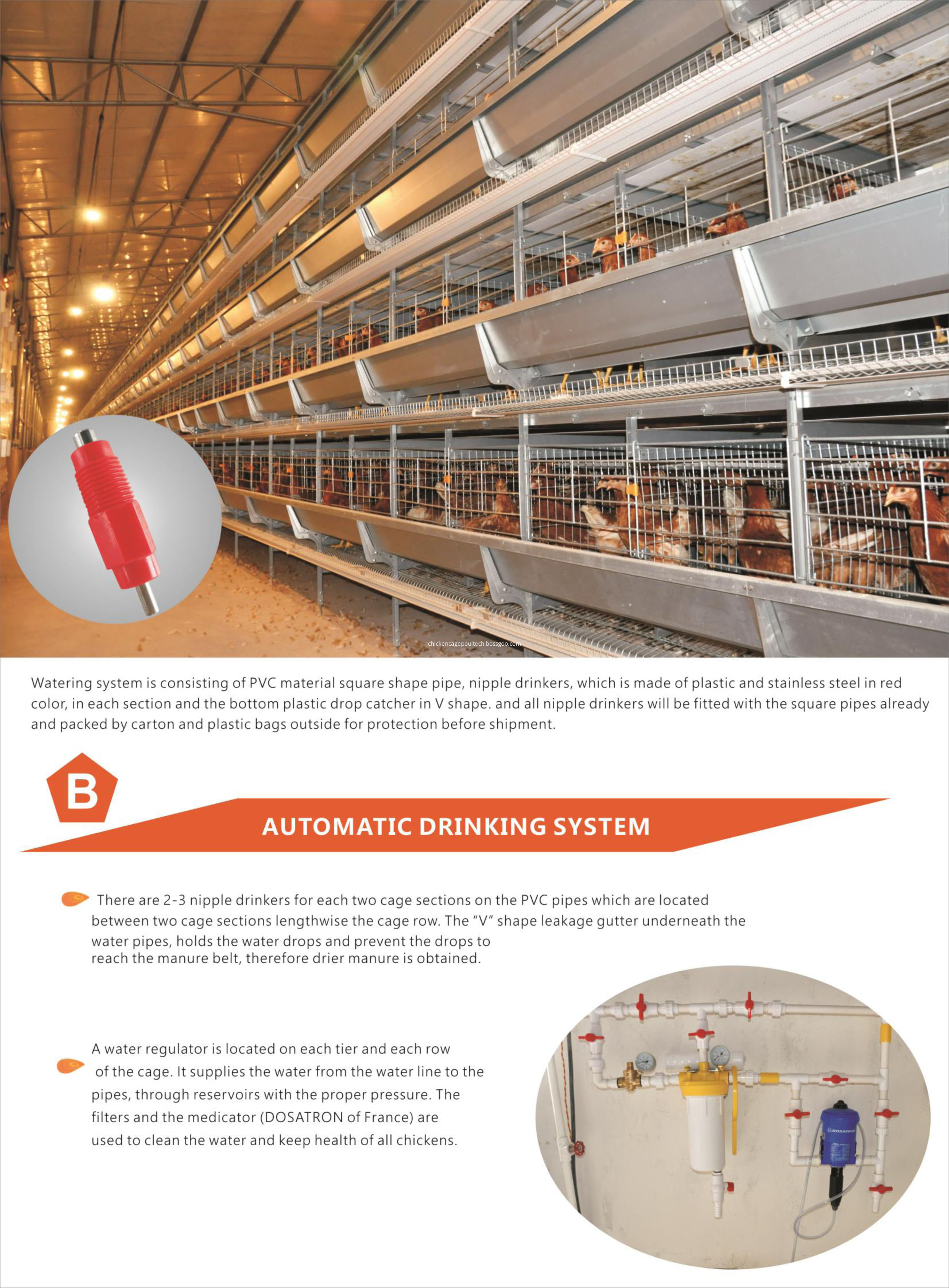 H frame layer chicken cage system-4