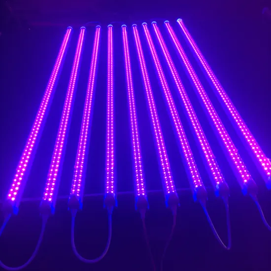 7Magic 36W T8 4ft Full Spectrum Hydroponics LED Grow Light: Affordable Plant Growth Lamp for Seedlings