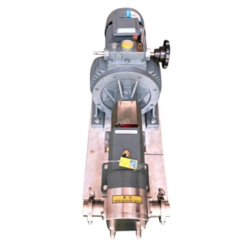 Sanitary Stainless Steel Positive Displacement Gear Pump for LPG Transfer