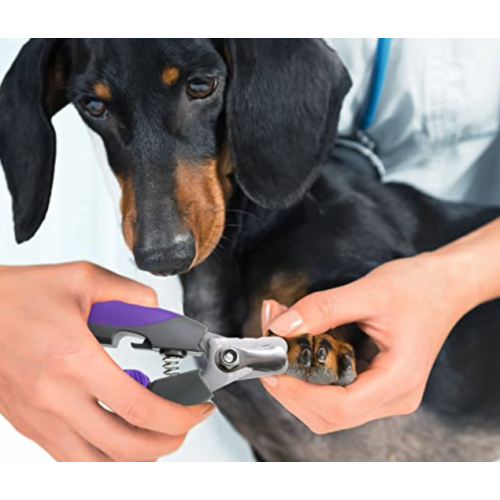 High Grade Pet Doil Clipper