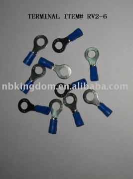 # RV2-6 Terminal &amp; Stecker