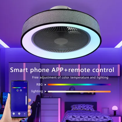 SLYNN Modern Designer Luxury Ceiling Fan Light with Remote Control