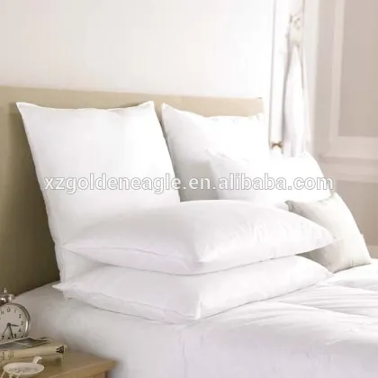 100% Silk Pillows Silk Cushions with Silk Satin Pillow Shams