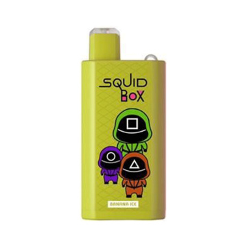 RandM Squid Box 5200 Puff Disposable Device Wholesale