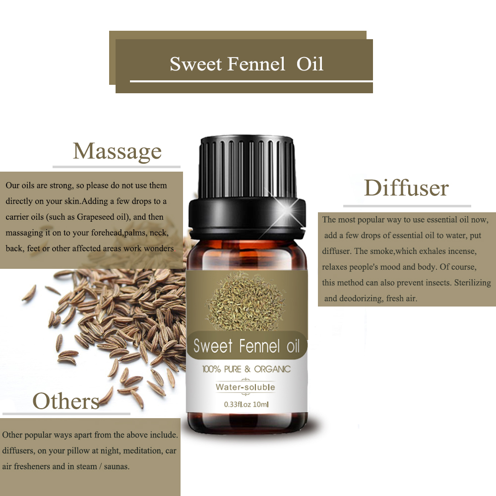 Destilação OEM Sweet Fennel Essential Oil for Flatulence