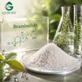 Regulador del crecimiento vegetal en polvo de brassinolida de alta pureza